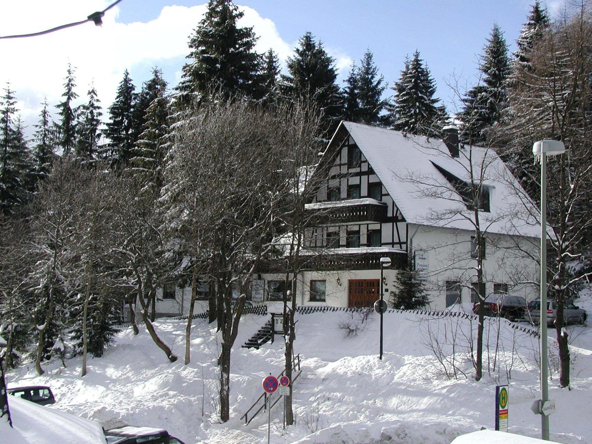 Pension Stiegelmeier Winterberg Zewnętrze zdjęcie